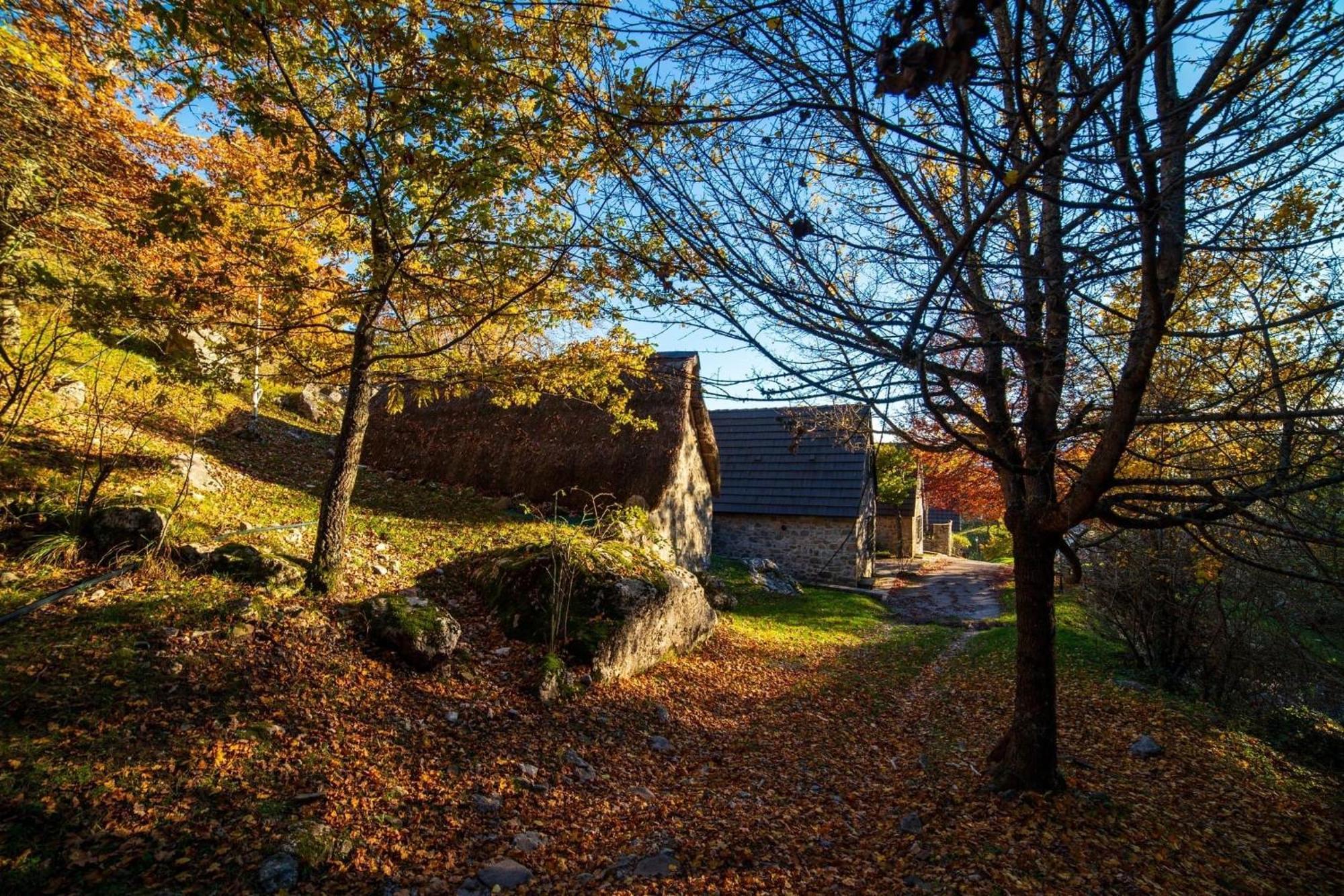 Chalet House Casini Di Corte *