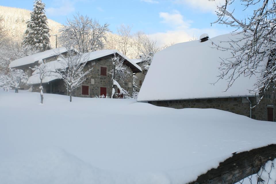 House Casini Di Corte
